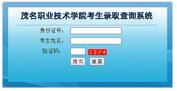 學(xué)考錄取結(jié)果陸續(xù)揭曉，信息技術(shù)咨詢服務(wù)助力考生把握未來