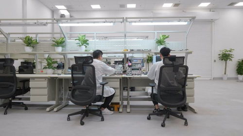 全年近50萬輛 上海超級工廠如何為特斯拉全球交付量貢獻(xiàn)半壁江山